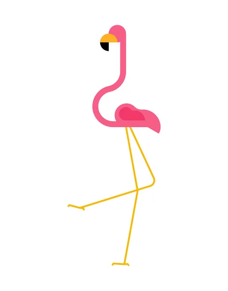Flamingo Rosa Isolado Pássaro Pernas Longas Pescoço — Vetor de Stock