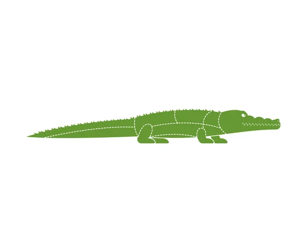 Coupe Viande Crocodile Lignes Schéma Silhouette Alligator Différentes Pièces Viande — Image vectorielle