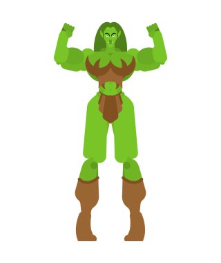 Dev kadın savaşçı silah ile. Yeşil cin kadın güçlü. çılgın bayan Trol