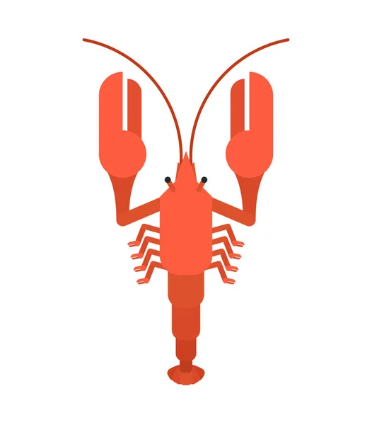 Crayfish Red Isolated Marine Crustacean Delicacy Vector Illustratio — Stock Vector