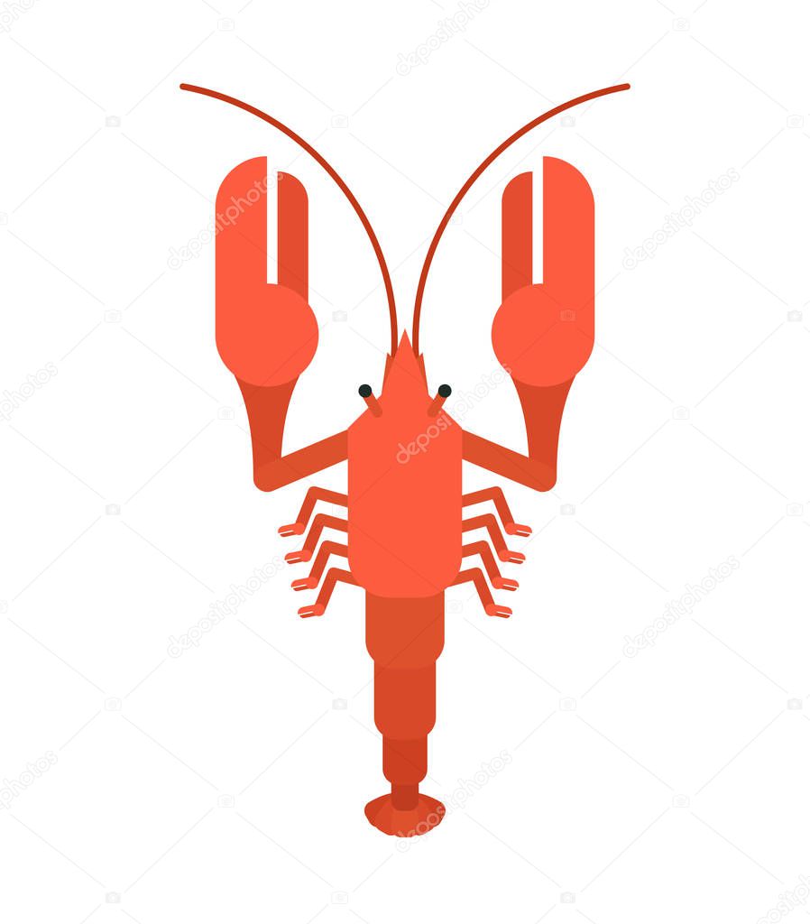 Crayfish red isolated. Marine crustacean Delicacy. Vector illustratio