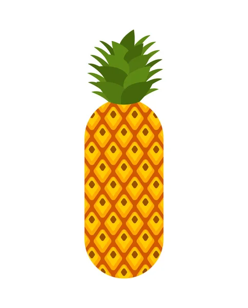 Pineapple Isolated Ananas Exotic Tropical Fruit Vector Illustration — Stock Vector