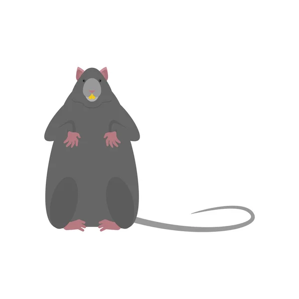 Rato Cinzento Isolado Rato Pequeno — Vetor de Stock