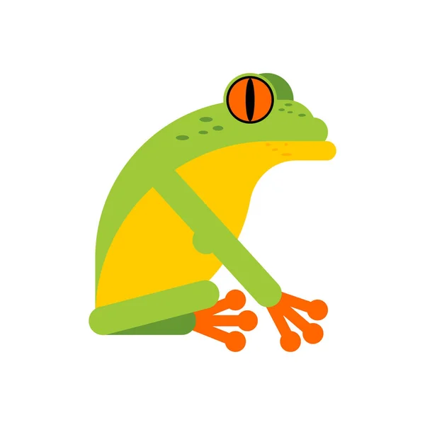 Žába Izolovaných Illustratio Vektorové Tropických Obojživelníků — Stockový vektor