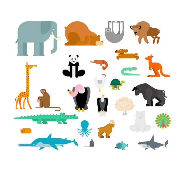 Animals Set Beast Collection Cute Cartoon Animal Jungle Forest Wild — Stock Vector