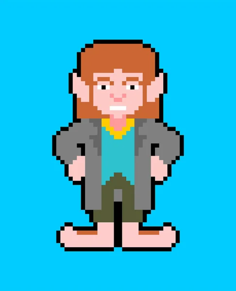 Hobbit pixel art petit homme isolé. homunculus magique avec grand — Image vectorielle