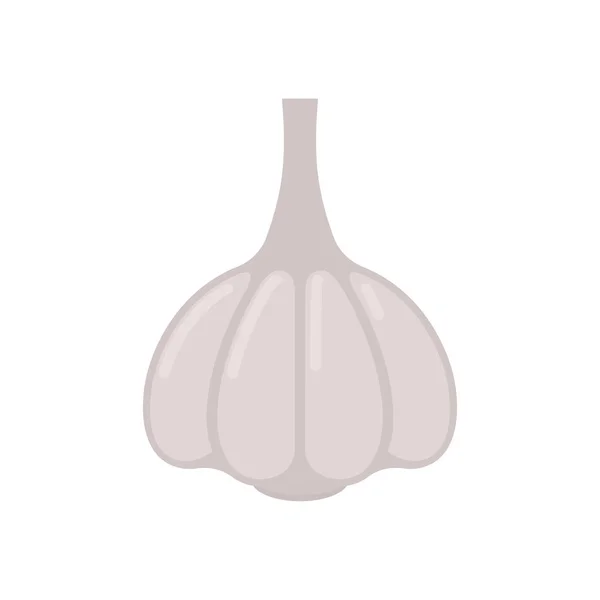 Alho isolado. Vegetais sobre fundo branco. Vector ilustrat — Vetor de Stock