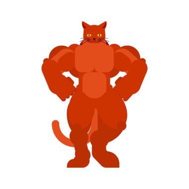Güçlü kedi. Güçlü bir evcil hayvan. hayvan vücut geliştirmeci. sert canavar