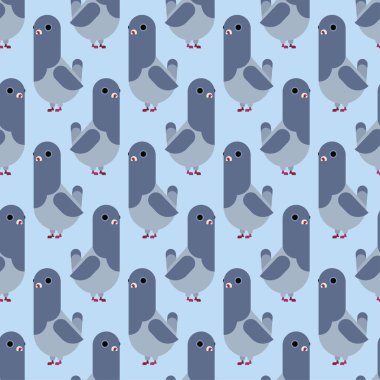 Güvercin deseni sorunsuz. güvercin karikatür arka plan. Şehir kuş vektör