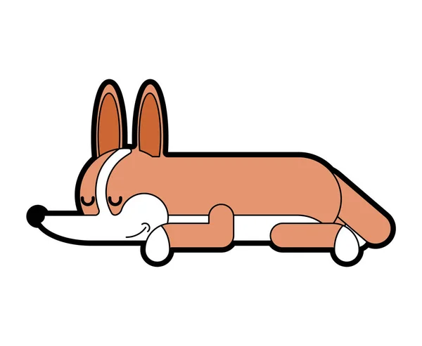 Corgi slapen geïsoleerd. in slaap kleine hond cartoon. schattig huisdier Vect — Stockvector