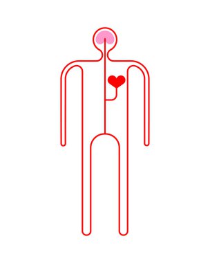 İnsan dolaşım sistemi karikatür. Vücut anatomisi. vektör illüstratör