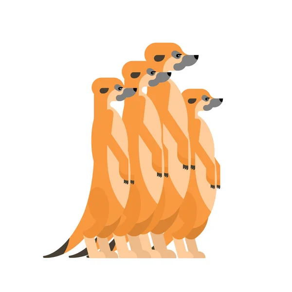 Desenhos animados da família Meerkats. Um pequeno mangusto. ilustração vetorial —  Vetores de Stock