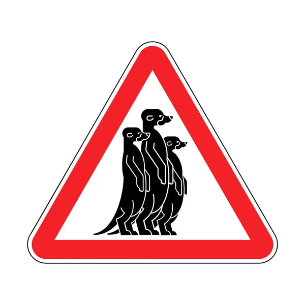 注意ミーアキャット。赤い道路標識を警告します。注意 小さなマングース — ストックベクタ