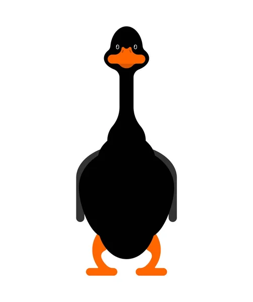 Ganso negro aislado. aves acuáticas domésticas. ilustración vectorial — Vector de stock