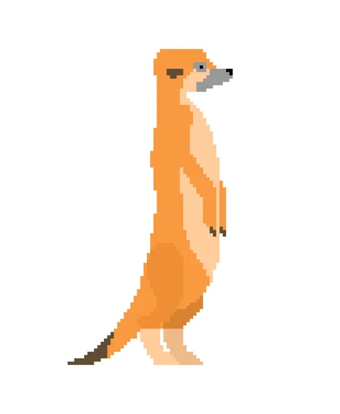 Seni Meerkat Pixel. Luwak kecil 8 bit. ilustrasi vektor - Stok Vektor