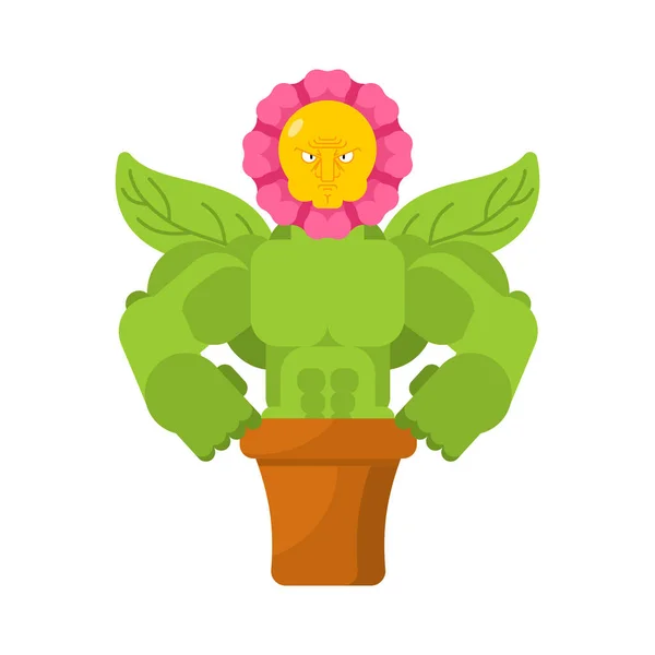 Ισχυρό λουλούδι στην κατσαρόλα. Ισχυρό φυτό σπίτι. βότανο bodybuilder — Διανυσματικό Αρχείο