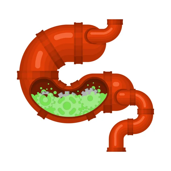 Estómago Intestinos Metálicos Órgano Interno Robótico Órganos Cyborg Robot — Vector de stock