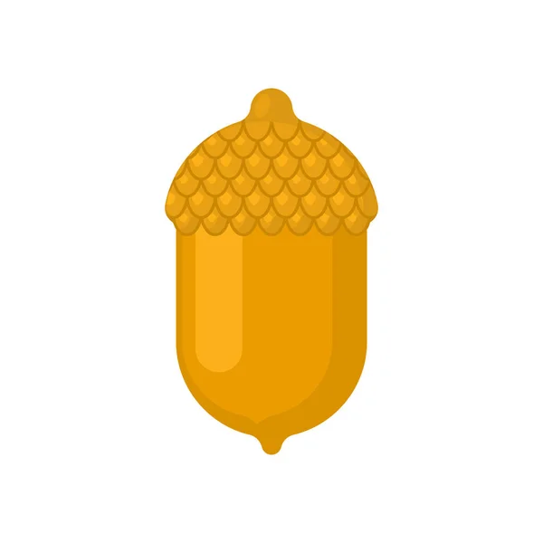 Bellota Dorada Aislada Fruto Roble Oro — Vector de stock