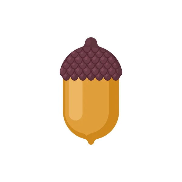 Acorn Geïsoleerd Vruchten Van Eik Vectorillustratie — Stockvector