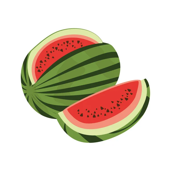 Watermelon Vector Isolated White Background — Stock Vector