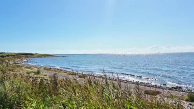 Berrak turkuaz su, yemyeşil yemyeşil ve yukarıda parlak mavi gökyüzünün yer aldığı inanılmaz güzel bir kıyı manzarası.