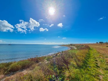 Berrak mavi bir gökyüzü ve yemyeşil bir yeşillikle güzel bir sahil manzarası.