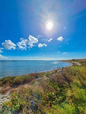 Sakin ve sakin bir plaj sahnesi. Canlı yeşillik ve açık mavi gökyüzü ile süslenmiş. Rahatlamak için ideal.