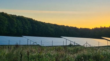 Güneş panellerinin çarpıcı görüntüsü günbatımlarını yansıtıyor. Sıcak ışık, canlı, yemyeşil bir ortam.