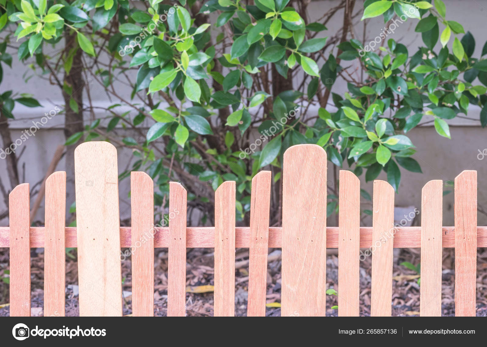 If you need garden fencing for practical reasons, privacy, to mark a boundary, or as a landscaping feature, gardensite has a huge range of. Closeup Wooden Fence Garden Background Stock Photo Image By C Kenkuza 265857136