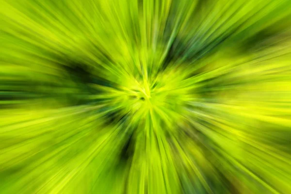 Abstrakte Unschärfe Durch Frischen Grünen Pflanzenhintergrund — Stockfoto