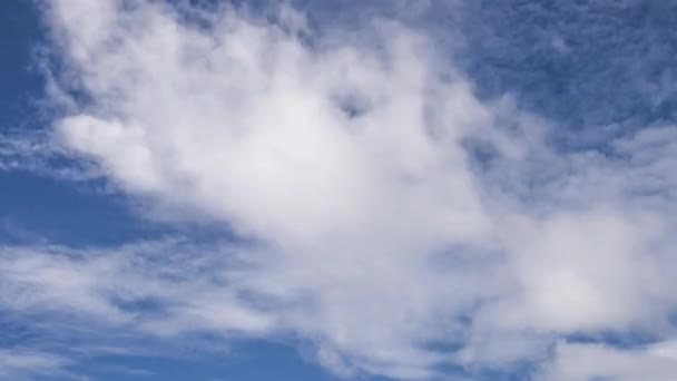 Time Lapse Clip Van Witte Pluizige Wolken Boven Blauwe Hemel — Stockvideo