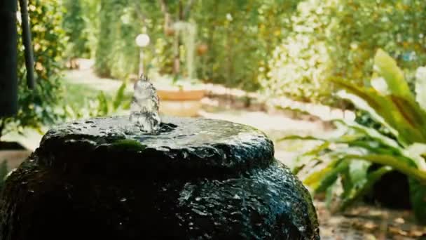 家の庭の美しい噴水 — ストック動画