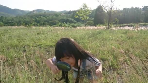 Barn Tjej Med Förstoringsglas Liggande Gräset Gräsplan Utomhus Solen Lyser — Stockvideo