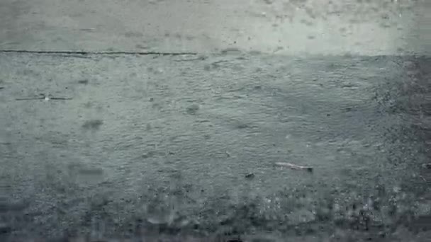 Gros Plan Fortes Pluies Sur Route — Video