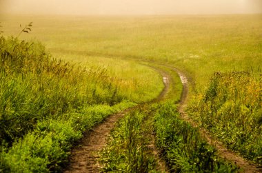 Sabah erkenden. Orman sisin içinde saklanıyor. orman yolu