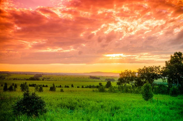 Soirée d'été chaude. Herbe verte juteuse. Bel coucher de soleil — Photo