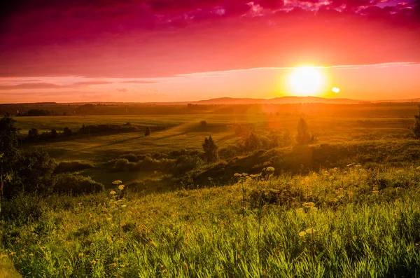 Teplý letní večer. Šťavnatá zelená tráva. Krásný západ slunce — Stock fotografie