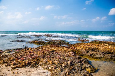 Kıyıdaki kayalarda okyanus dalgaları kırılıyor..
