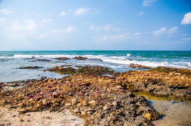 Kıyıdaki kayalarda okyanus dalgaları kırılıyor..