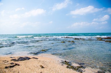Kıyıdaki kayalarda okyanus dalgaları kırılıyor..