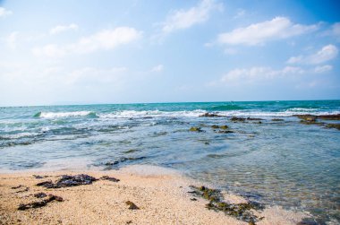 Kıyıdaki kayalarda okyanus dalgaları kırılıyor..