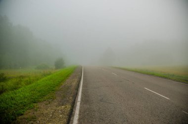 Sabah erkenden. Orman sisin içinde saklanıyor. orman yolu.