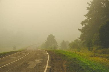 Sabah erkenden. Orman sisin içinde saklanıyor. orman yolu.