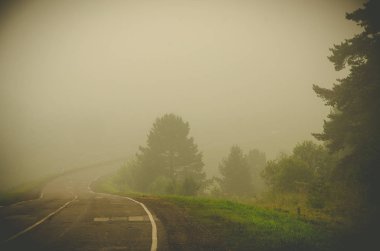 Sabah erkenden. Orman sisin içinde saklanıyor. orman yolu.