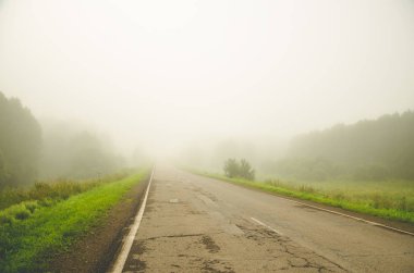 Yağmurdan sonra doğa. Kırsal toprak yol. sulu yeşiller
