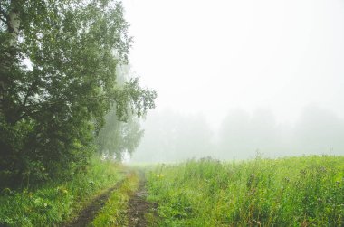 Yağmurdan sonra doğa. Kırsal toprak yol. sulu yeşiller