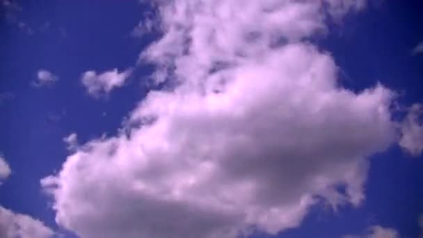 Nubes Cúmulos Flotan Través Del Cielo — Vídeo de stock