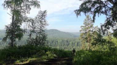 Ormanda bir adam. Yol boyunca yürüyorum. Kozalaklı ağaçların dağlık tepelerine eriş.