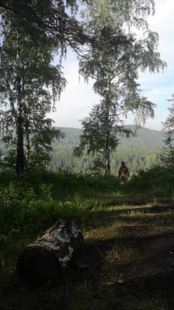 Ormanda Bir Adam Yol Boyunca Yürüyorum Kozalaklı Ağaçların Dağlık Tepelerine — Stok video