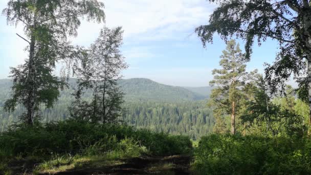 Vista Floresta Coníferas Partir Altura Uma Grande Rocha Amanhecer Quente — Vídeo de Stock